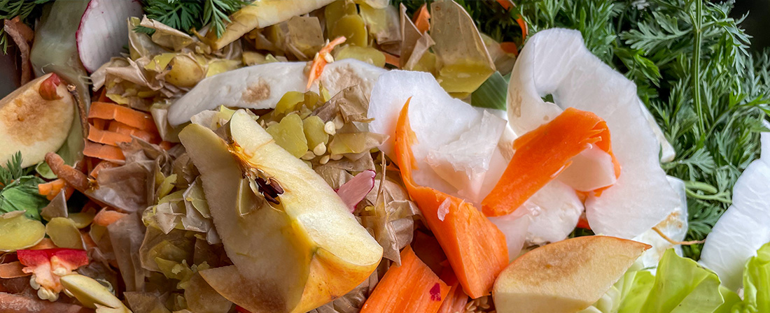 es ist ein Haufen Bioabfälle zu sehen, wie zum Beispiel Apfelschale, Kartoffelschalen, Gemüsereste